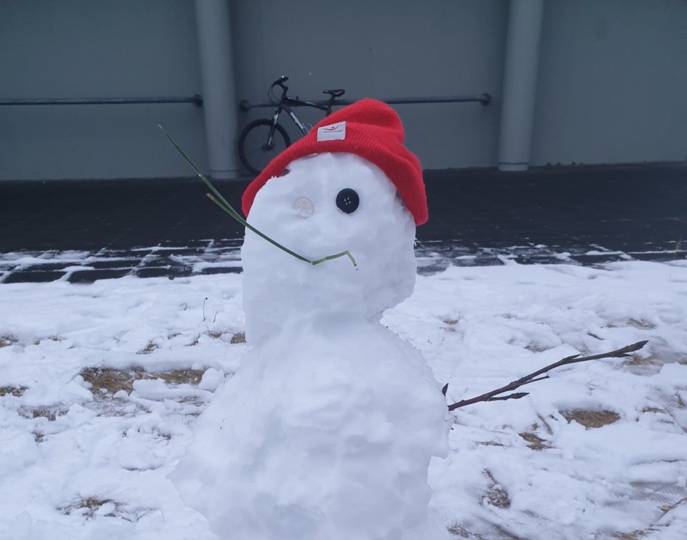 Stundatöflur vorannar 2023