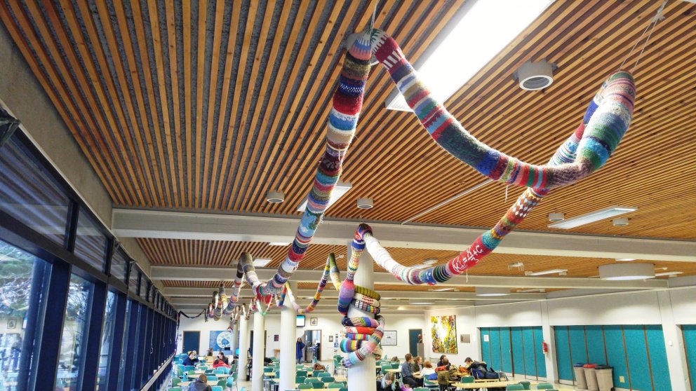 Staðfestingardagur / Course selection day