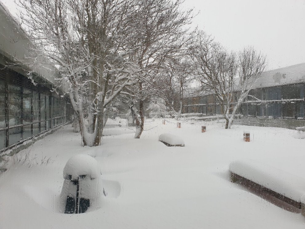 Einkunnir eru sýnilegar í Innu