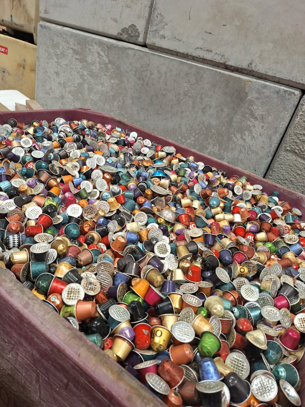 Umhverfisfræði í vettvangsferð