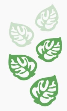 Græn skref er verkefni á vegum Umhverfisstofnunar