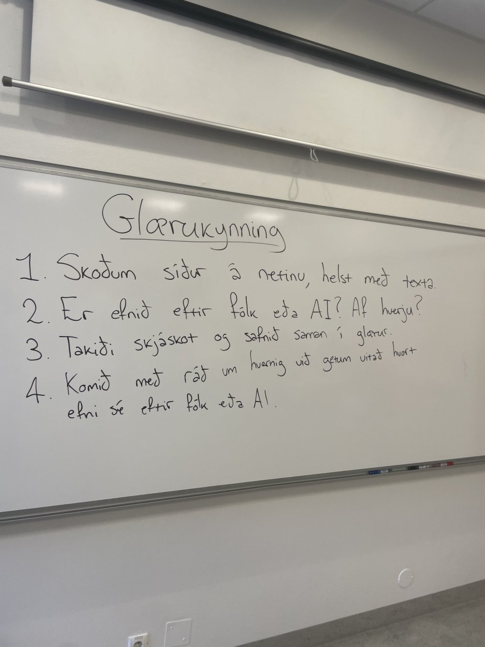 Heimsókn sérkennara frá Spáni