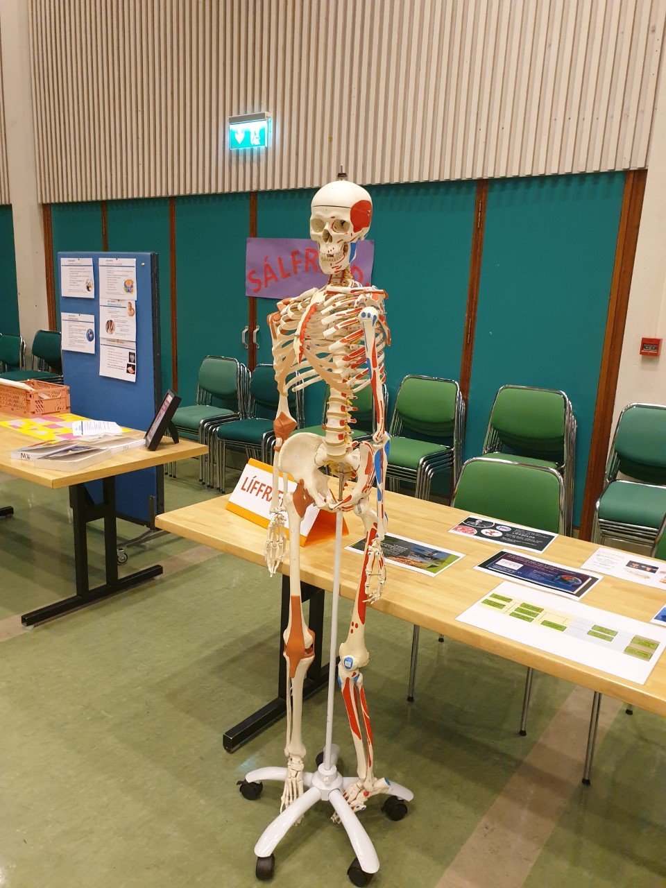 Velkomin á Miklagarð