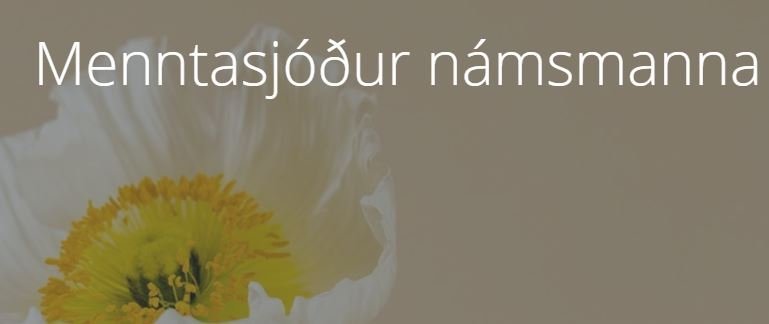 Jöfnunarstyrkur