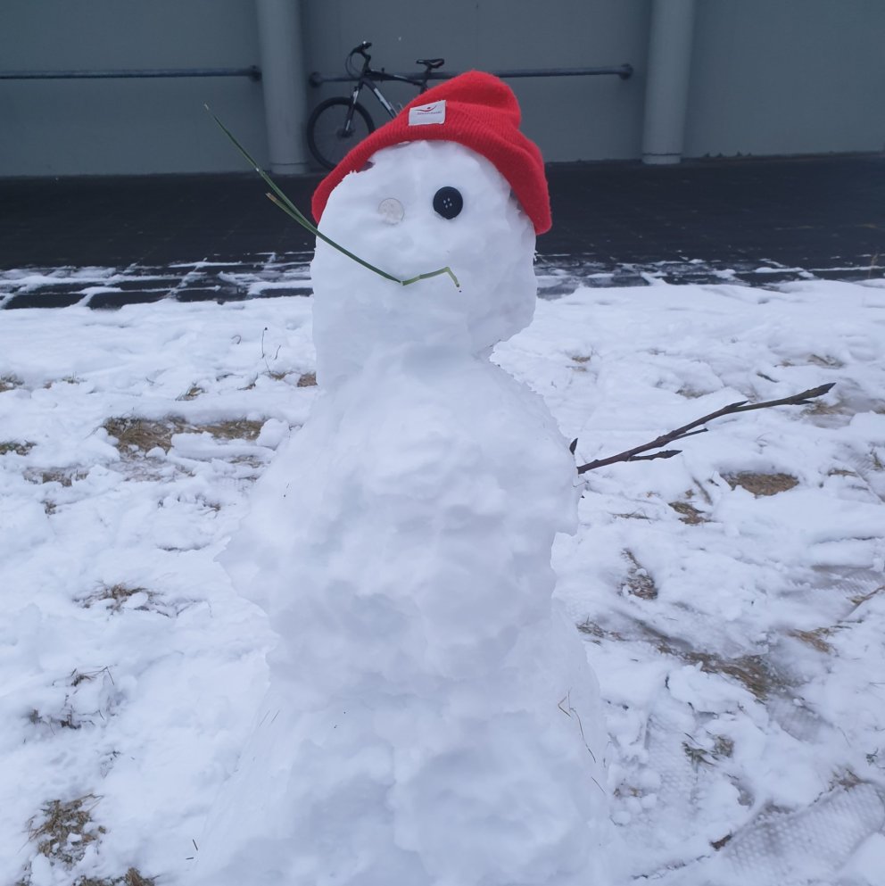 Síðasta kennsluvikan runnin upp