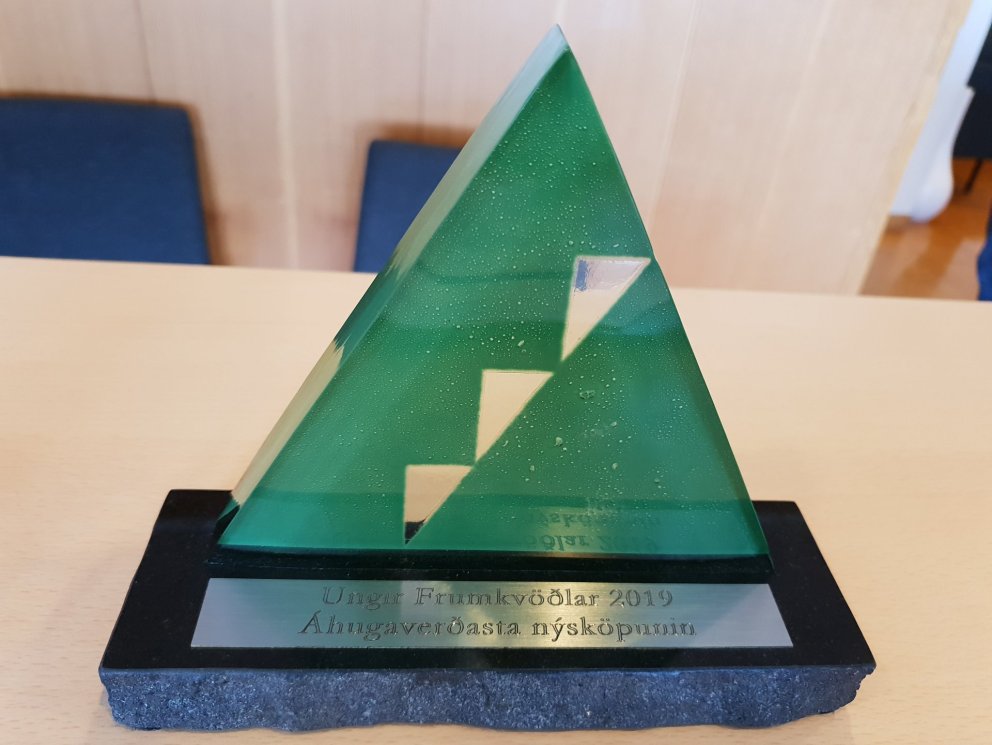 Verðlaunagripurinn fyrir áhugaverðustu nýsköpunina.  Hugmyndin var barnabók þar sem íslenskir málshæ…