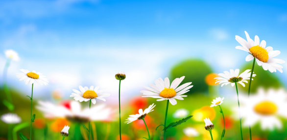 Upphaf vorannar 2019 / Beginning of spring semester 2019