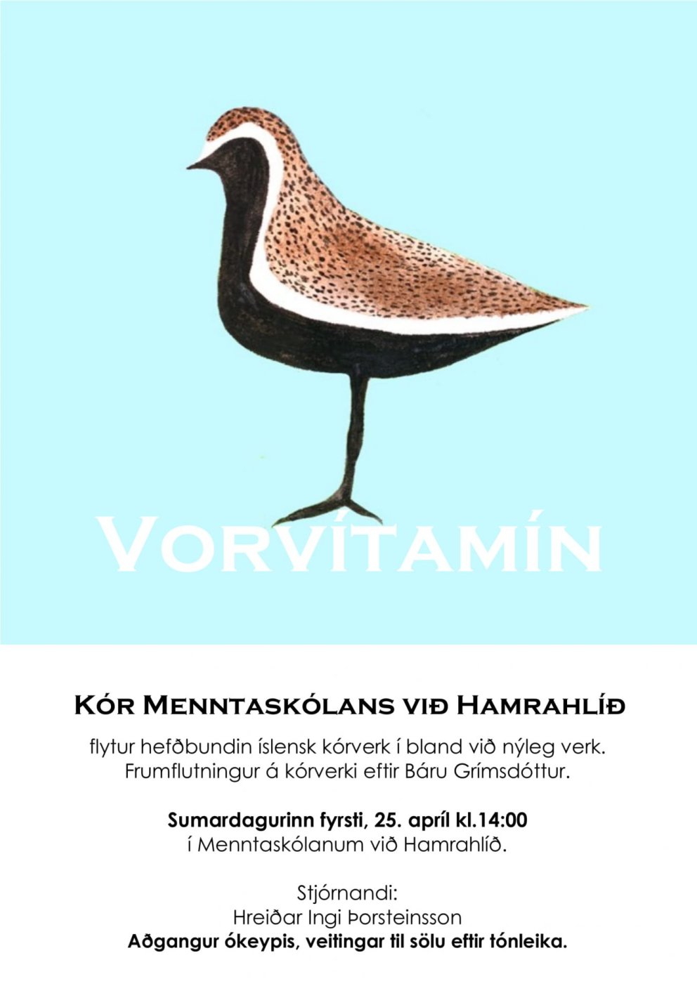 Vorvítamín sumardaginn fyrsta í Menntaskólanum við Hamrahlíð