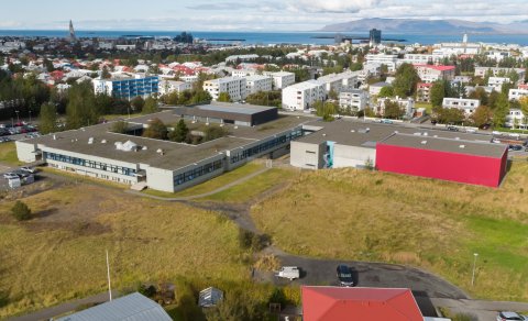 Vika 9 (19. - 23.október)