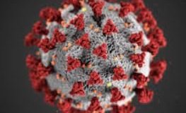 Rafræn kennsla út vikuna / Teaching will be online for the next few days.