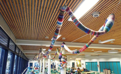 Staðfestingardagur / Course selection day