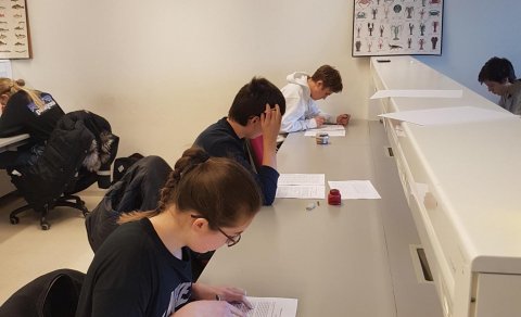 Hafdís Ósk í skriflegum hluta keppninnar.