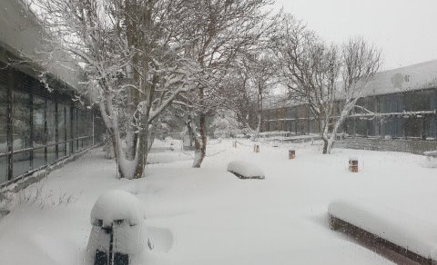 Einkunnir eru sýnilegar í Innu