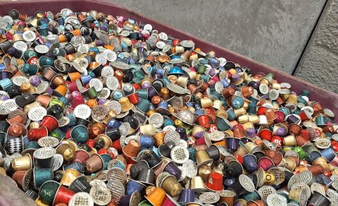 Umhverfisfræði í vettvangsferð