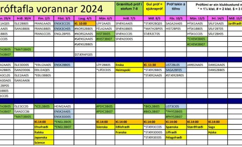 Sérúrræði í prófum