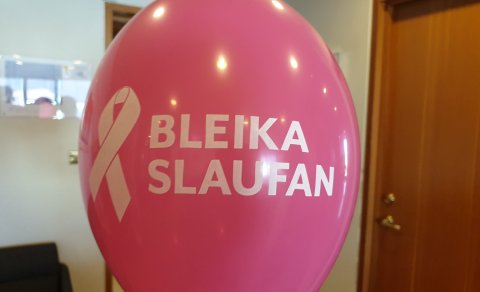 Bleika blaðran í MH