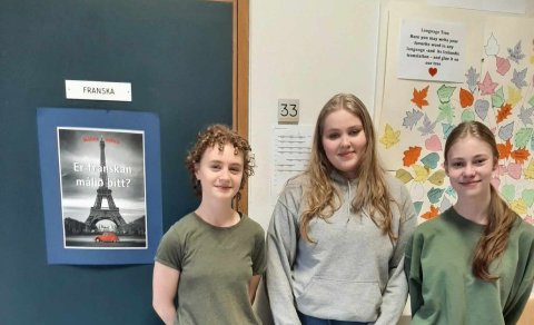 Á myndinni eru Árelía, Matthea og Oddný