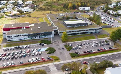 Vika 8 (12. - 16. október)