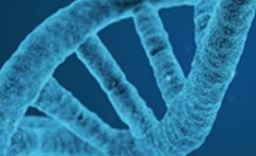 MH-ingar í forkeppni fyrir ólympíukeppni í líffræði