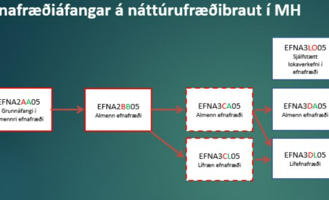 Frábær árangur MH-inga í efnafræði