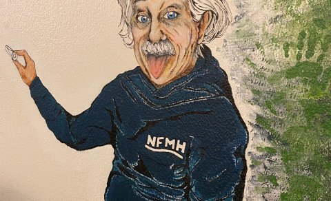 Samkeppni um vegglistaverk