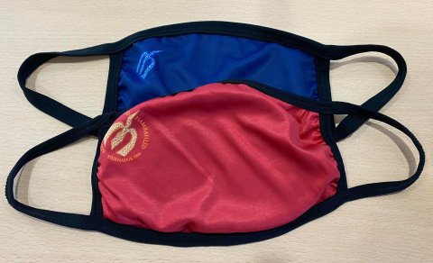 Kennsla eftir páska / Teaching after the Easter break