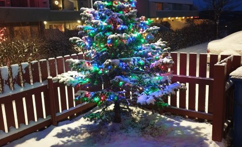 Opnunartími skrifstofunnar fram að byrjun vorannar 2020