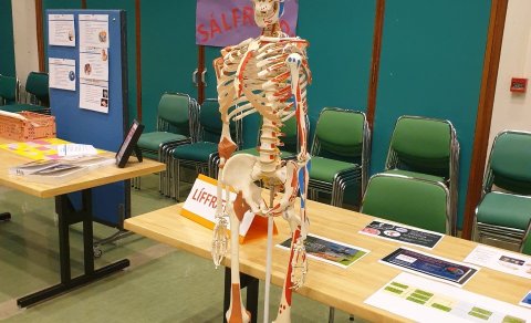 Velkomin á Miklagarð