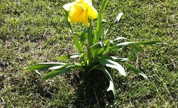 Skrifstofa skólans verður lokuð í páskafríinu - Gleðilega páska