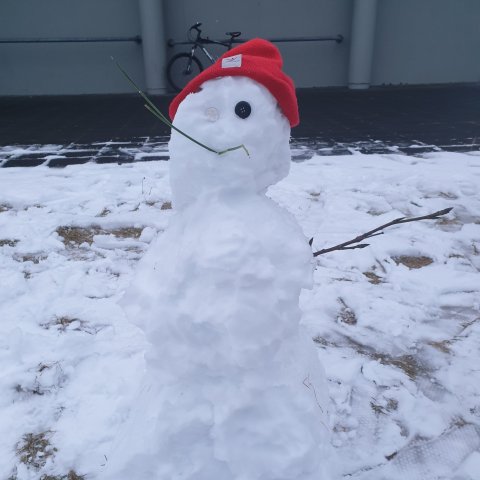 Síðasta kennsluvikan runnin upp