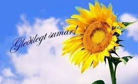 Aðstoð við val á áföngum í sumarskólunum.