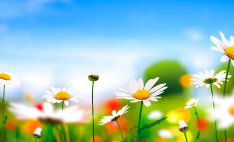 Upphaf vorannar 2019 / Beginning of spring semester 2019