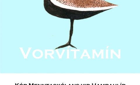 Vorvítamín sumardaginn fyrsta í Menntaskólanum við Hamrahlíð